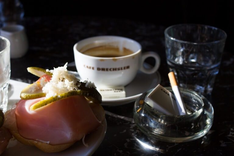 Coffee and ham sandwich with pickles at Café Drechsler, Vienna