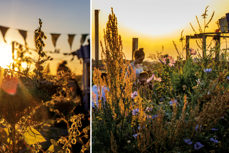 Sunset at garden festival with flowers, bunting and people enjoying the light