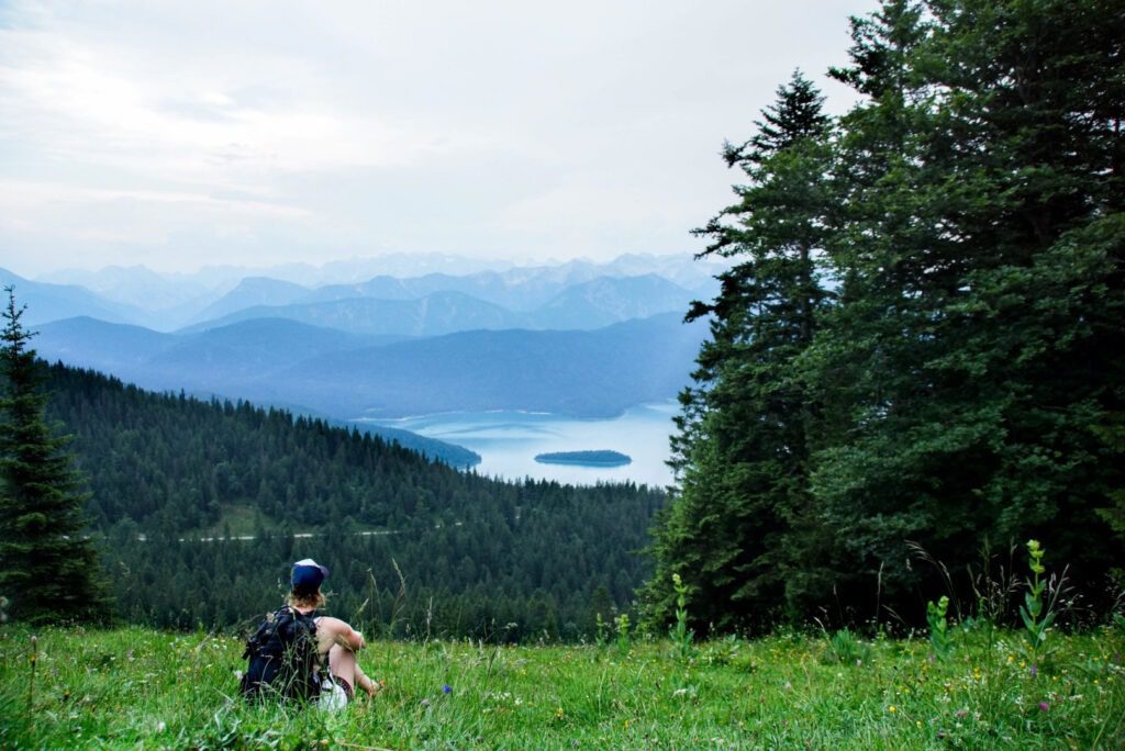 munich to bavarian alps tour