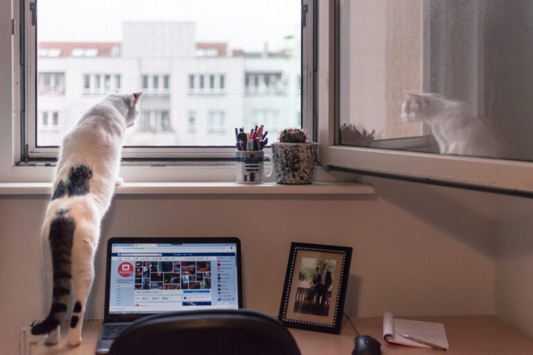 Home Office During Corona Time