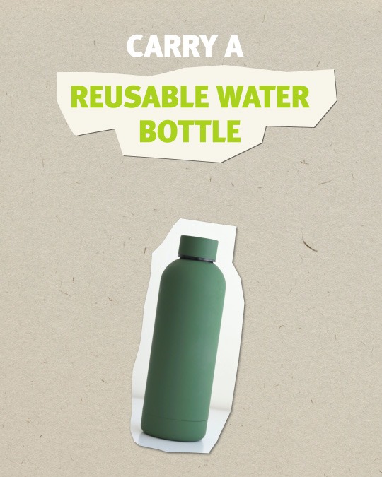 10 Tips to Travel Without Plastic Water Bottles