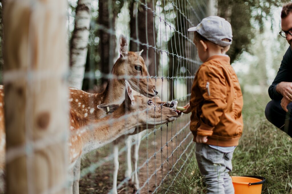 Ein Tag in Frankfurt - Frankfurt zoo 