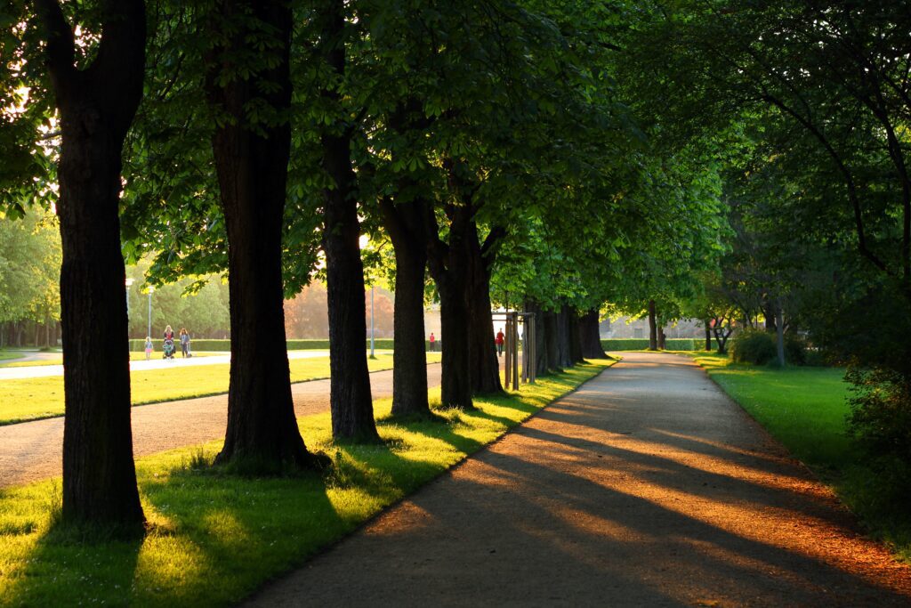 One day in Dresden: Grosser Garten