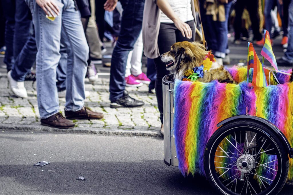 Gay-Reiseführer für Berlin: CSD