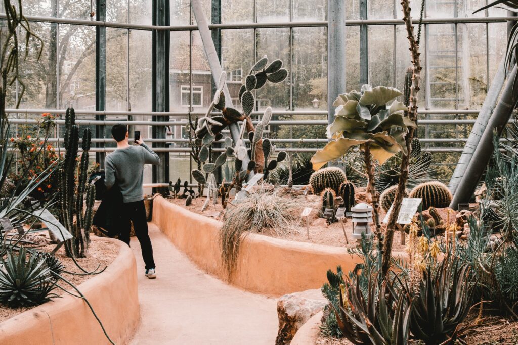 Hortus Botanicus, Amsterdam