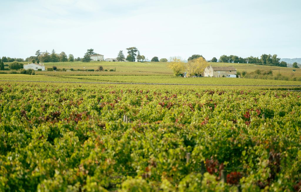 Best wineries to visit in Bordeaux: Scenic vineyards of Saint-Émilion in Bordeaux with small houses in the distance 