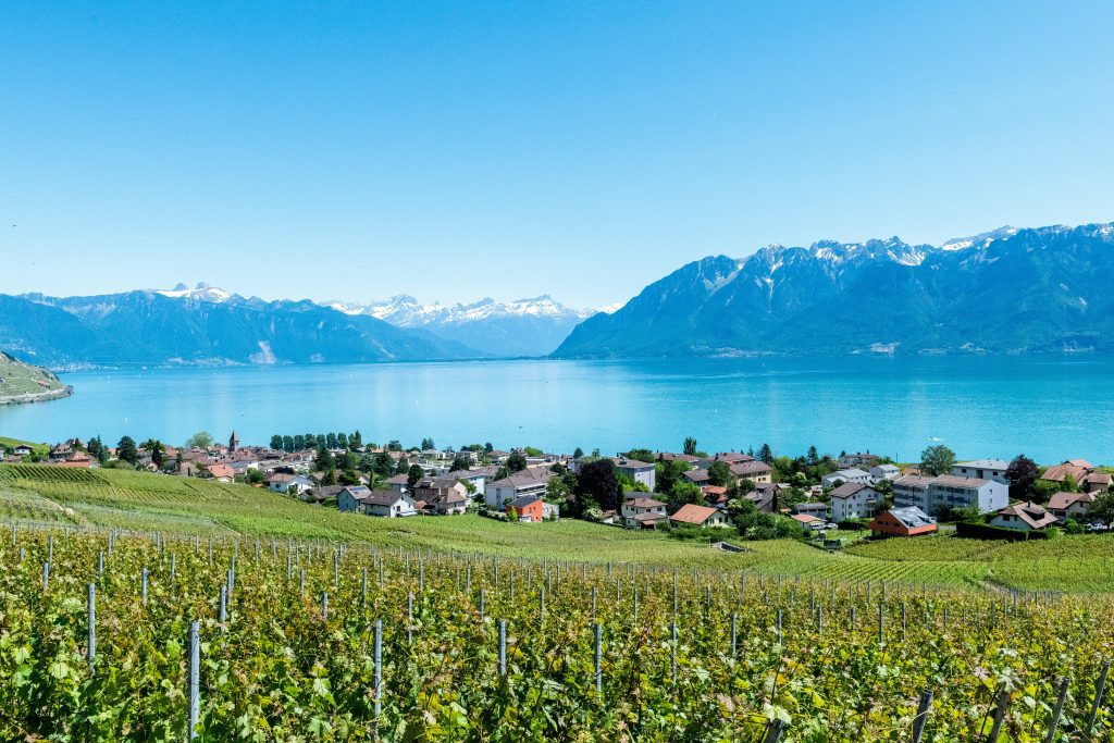 Lavaux-Weinberge am Genfersee mit verschneiten Alpen im Hintergrund