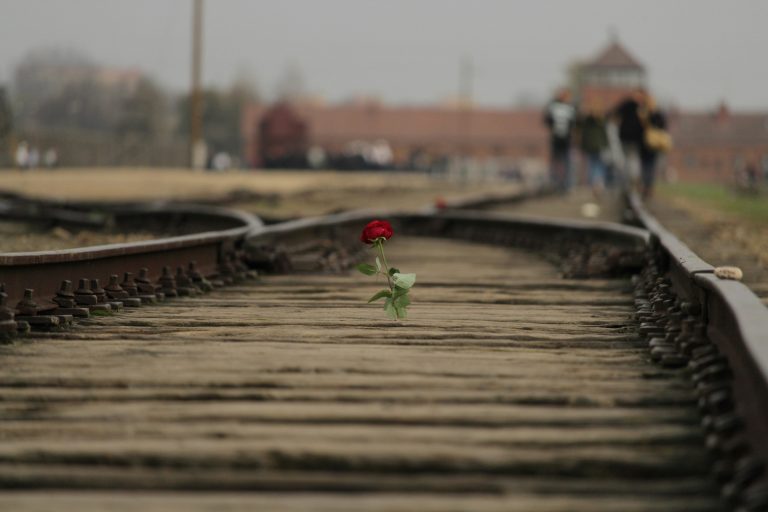 a rose on the railway tracks to AUschwitz