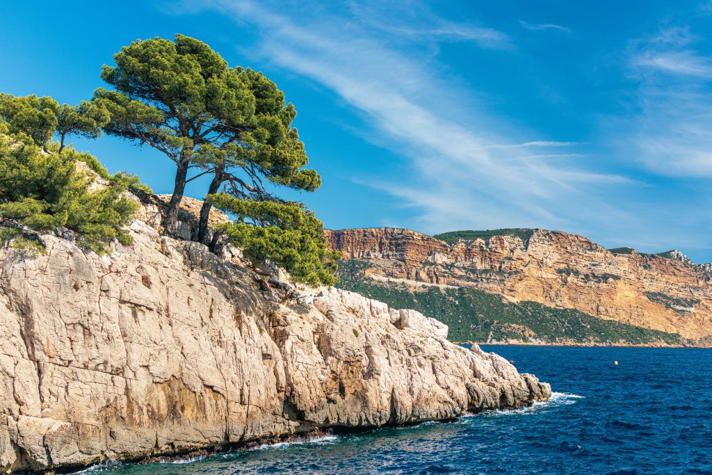 Things to do in Marseille with kids: Rocky coast with pine trees in Calanques National Park near Marseille