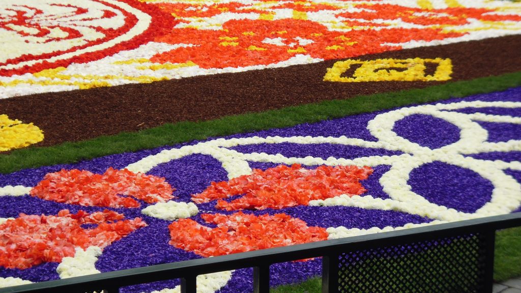 Flower carpet Brussels: Detail of the Brussels flower carpet with purple, red and white begonias