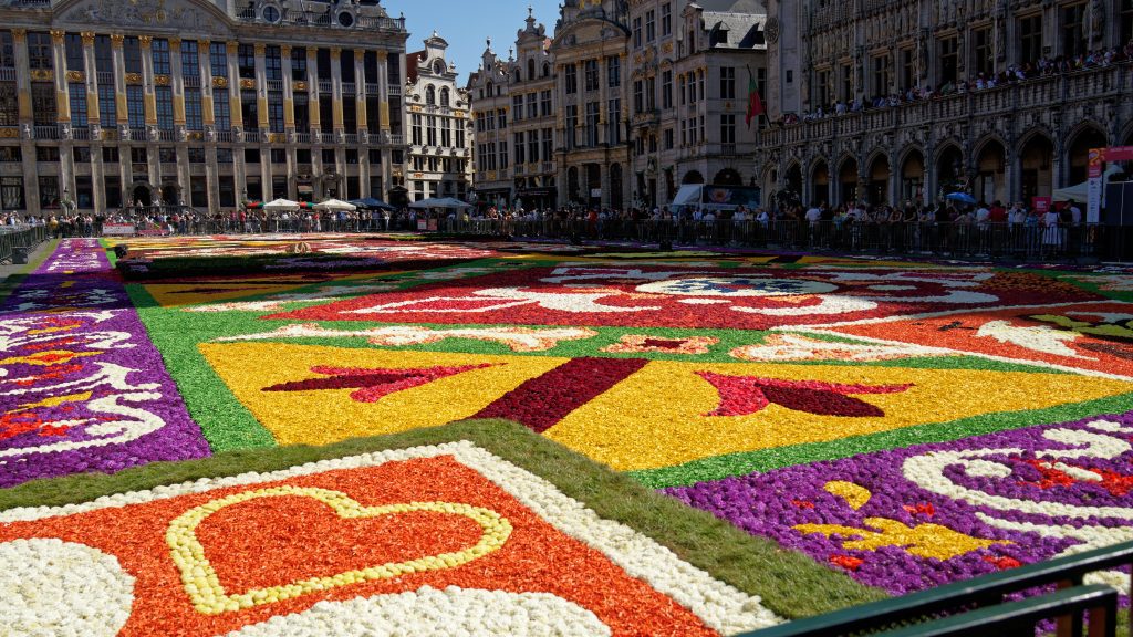 Flower carpet Brussels: Colorful flower carpet made of begonias covering the Grand Place