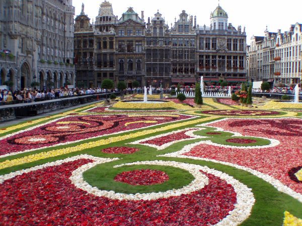 Flower carpet Brussels: plan your visit