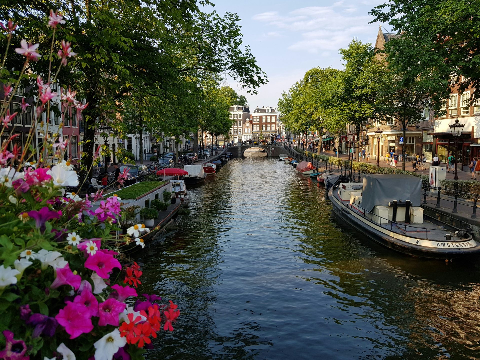 View of an Amsterdam canal view flowers on the foreground