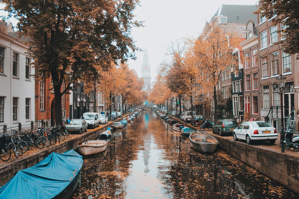 Amsterdam canal with autumn trees and leaves on the water