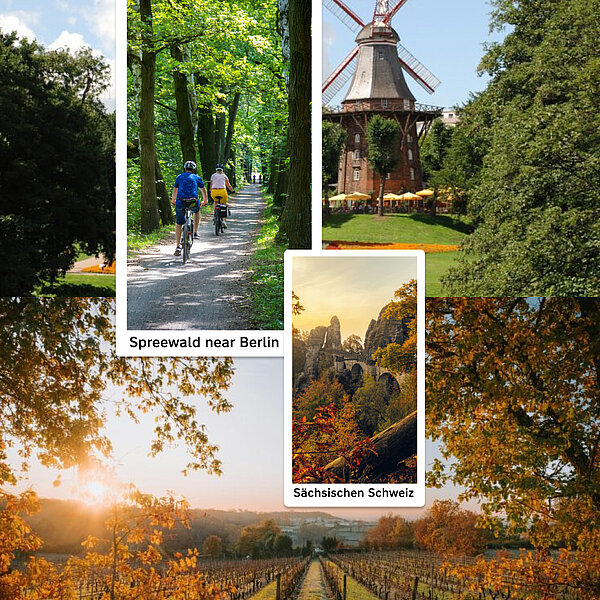 Nature collage of Spreewald near Berlin and Saxon Switzerland