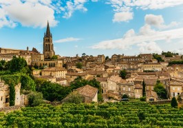What to do in Bordeaux - From Bordeaux: St. Emilion Village Half-Day Wine Tour
